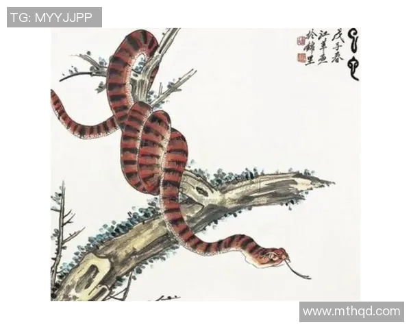 探索足球明星命理之道揭示他们成功背后的秘密与运势分析