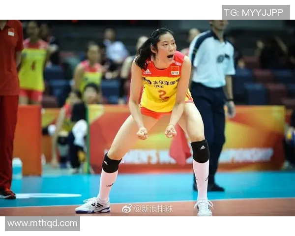 权威发布：2023年排球意识实力榜单全面解析与前瞻